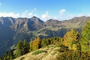 33 I larici si stanno colorando d'autunno